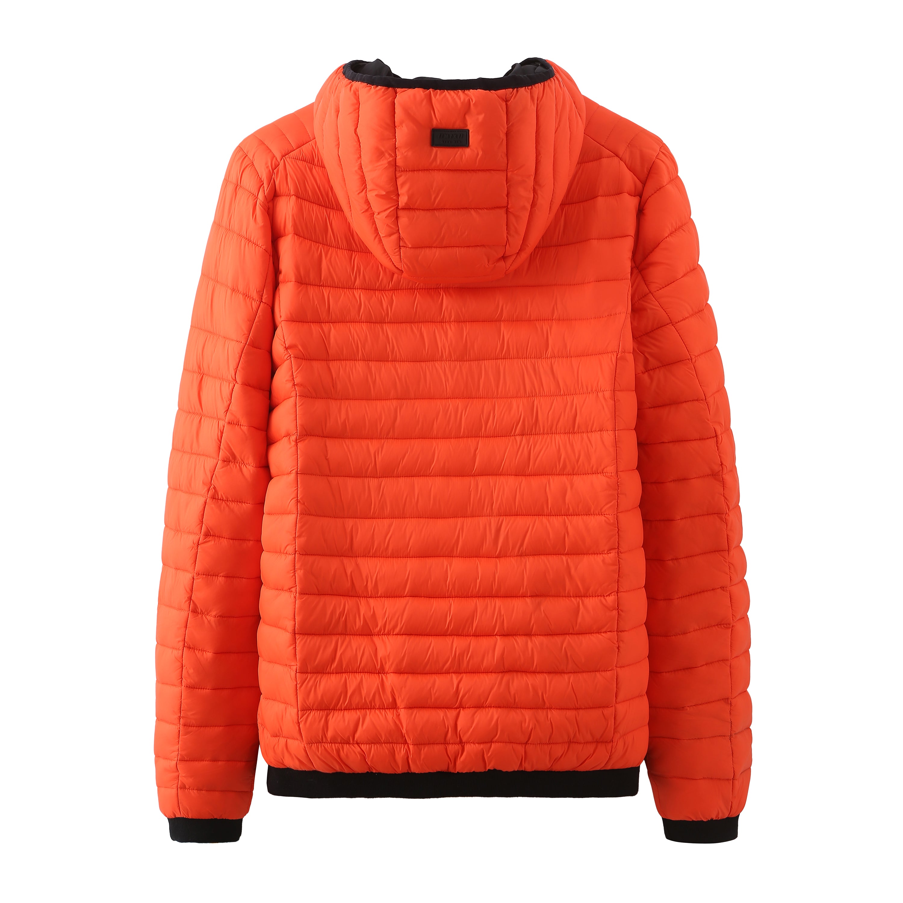 Men's light padded jacket